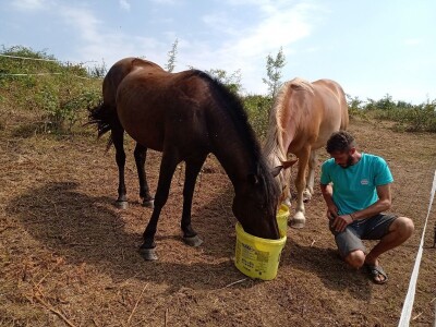 Ranč Pavlović u Volujcu
