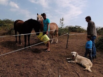 Ranč Pavlović u Volujcu