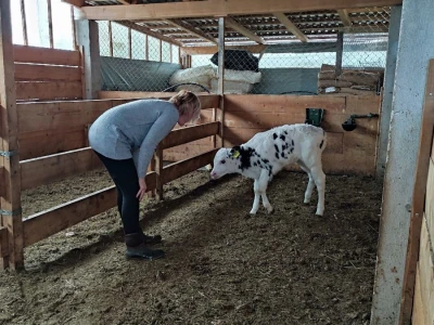 Ranch4Me