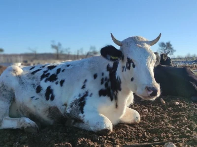 Ranch4Me