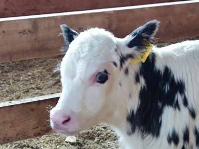 Ranch4Me