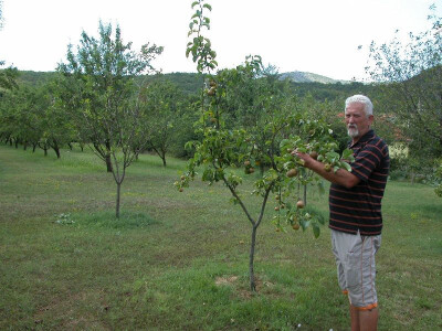 Rančić je zadovoljan i urodom nashi