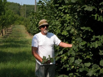 Vlasnik voćnjaka Rančić je zadovoljn i urodom lješnjaka Vlasnik voćnjaka Rančić je zadovoljn i urodom lješnjaka