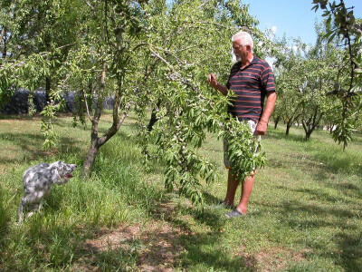 Rančića u stopu prati njegov vjerni pas