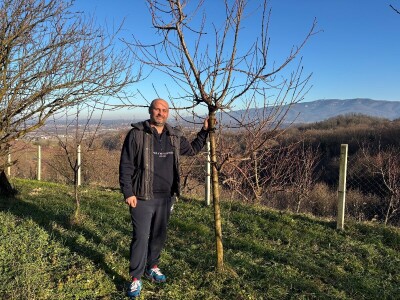 Rane sorte su isplativije, ali i izazov Rane sorte su isplativije, ali i izazov