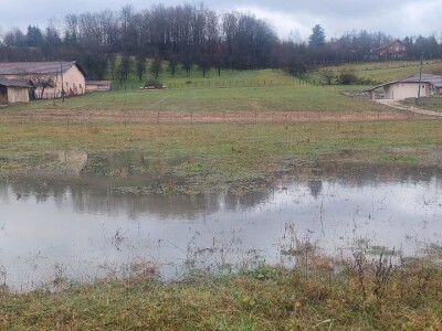 Ranije kretanje vegetacije Ranije kretanje vegetacije
