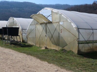 Rasad povrća na 35 dunuma Rasad povrća na 35 dunuma