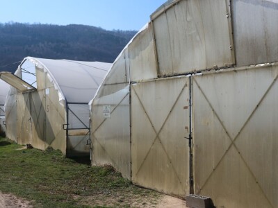 Rasad povrća na 35 dunuma Rasad povrća na 35 dunuma