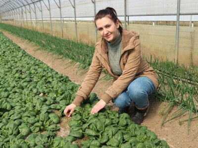 Rasad povrća na 35 dunuma Rasad povrća na 35 dunuma