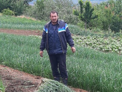 Rasad spreman za prodaju Rasad spreman za prodaju