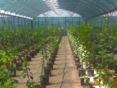 Opremanje plastenika sustavom za hlađenje i navodnjavanje, Zadar