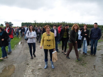 Rasadnik ukrasnog bilja