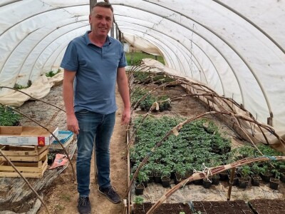 Rasadnik Darka Šojića u Požegi