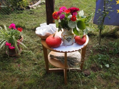 Cvijeće iz ekološkog vrta Cvijeće iz ekološkog vrta