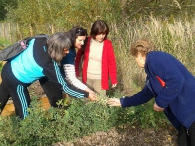 Uz povišenu gredicu Uz povišenu gredicu