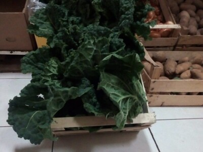 Raštika opjevana superhrana idealna za poslijeblagdansku detoksikaciju Raštika opjevana superhrana idealna za poslijeblagdansku detoksikaciju