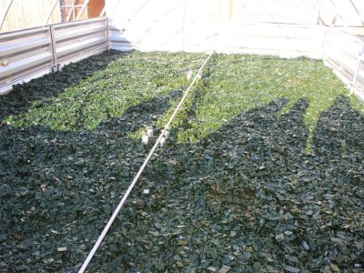 Raumberg-Gumpenstein - poljoprivredni istraživačko edukacijski centar