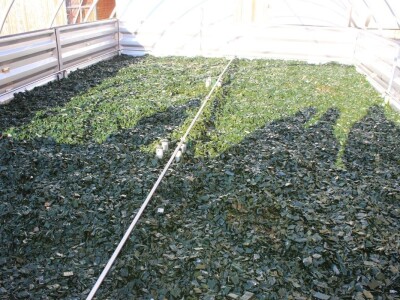 Raumberg-Gumpenstein - poljoprivredni istraživačko edukacijski centar