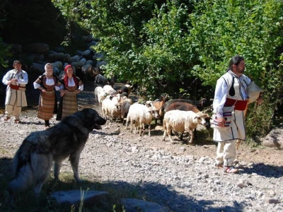 "Ravna šuma" - Edukacija i kultura kao deo prirode
