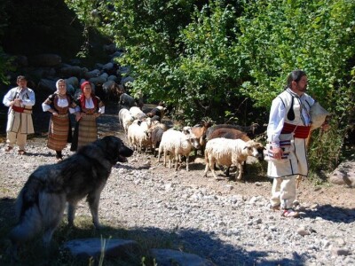 &quot;Ravna šuma&quot; - Edukacija i kultura kao deo prirode