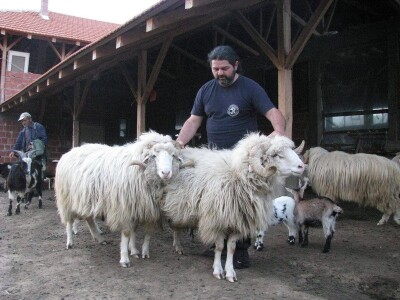 Ravna šuma - Bardoka