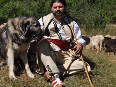 Ravna šuma - Očuvanje tradicije