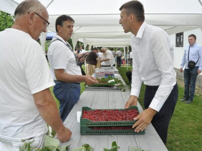 Različit kvalitet maline u valjevskom kraju - cena ista Različit kvalitet maline u valjevskom kraju - cena ista