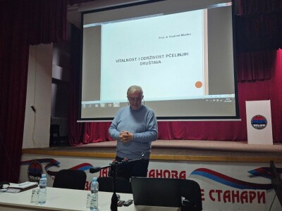 Razloga nestajanje pčela pad imuniteta