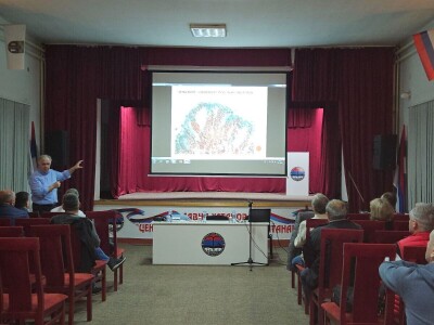 Razloga nestajanje pčela pad imuniteta