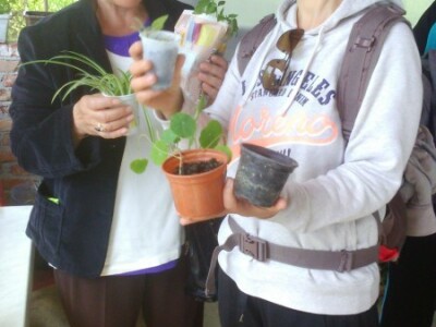 Zadovoljne izborom presadnica