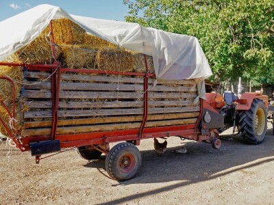 Razvoj stočarstva pod znakom pitanja