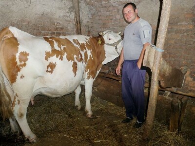 Razvoj stočarstva pod znakom pitanja