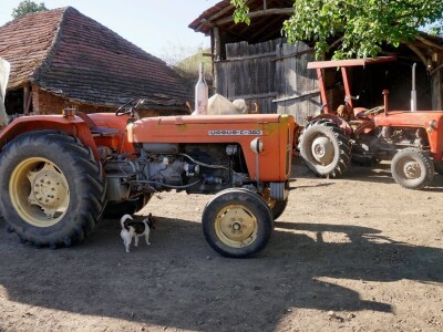 Razvoj stočarstva pod znakom pitanja