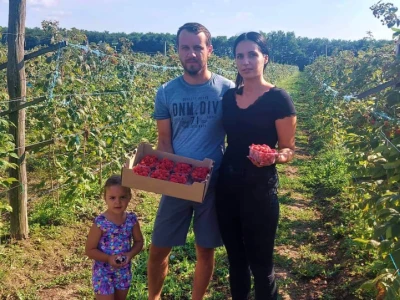 Bočkinac bobice - maline, borovnice