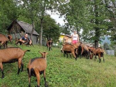 Kozarstvo Štimac Cunar