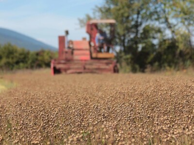 Poljoprivredna zadruga 'Klekovača'