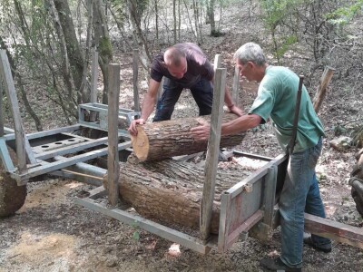 Koje drvo je najkvalitetnije za ogrev?