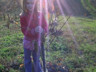 Franka uživa u mladom nasadu