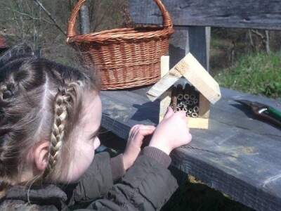 ...i pravi nastambu za solitarne pčele