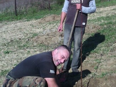 Sadnja mješovitog voćnjaka