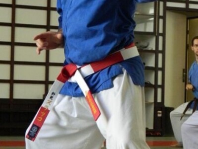 Majstor borilačkih vještina