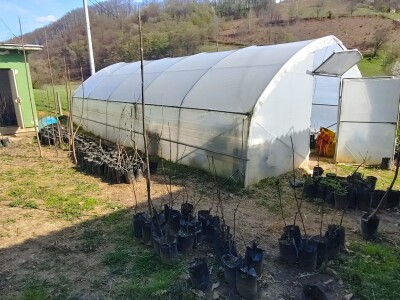 Refik Dolić - poljoprivrednik Velika Kladuša