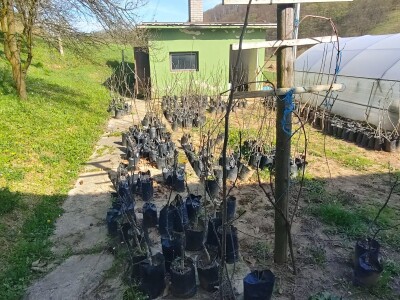 Refik Dolić - poljoprivrednik Velika Kladuša