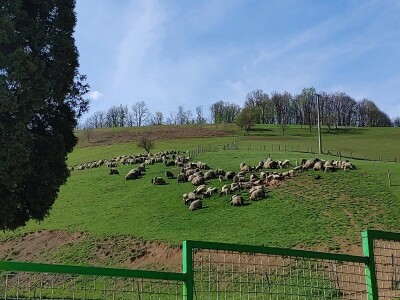 Refik Dolić - poljoprivrednik Velika Kladuša