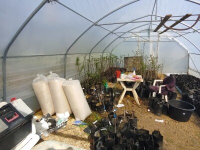 Refik Dolić - poljoprivrednik Velika Kladuša