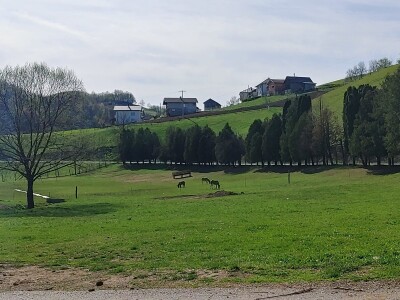 Refik Dolić - poljoprivrednik Velika Kladuša
