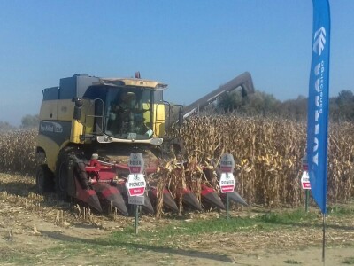 Regionalni dan polja Pioneera
