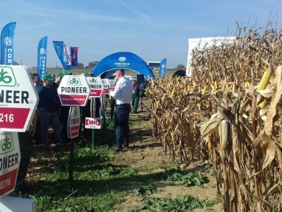 Regionalni dan polja Pioneera