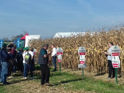 Regionalni dan polja Pioneera