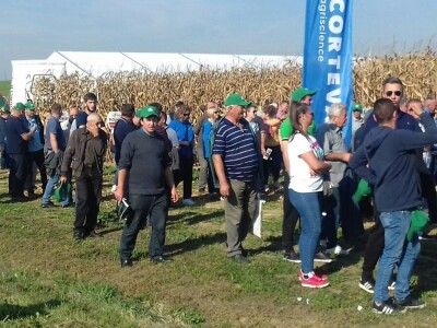 Regionalni dan polja Pioneera